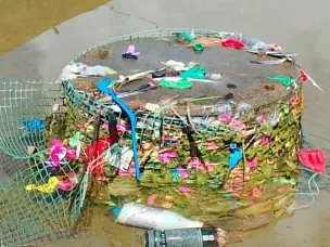 О фонтане, людях и мусоре!